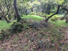 <b>Kemp's Graves, Glenhead of Aldouran</b>Posted by markj99