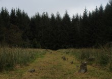<b>Fernworthy stone row (North)</b>Posted by postman