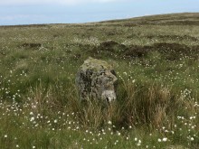 <b>Finnarts Hill Standing Stones</b>Posted by markj99