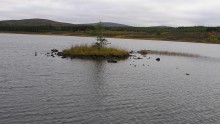 <b>Loch Borralan 2</b>Posted by drewbhoy