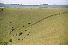 <b>White Sheet Hill</b>Posted by PhilRogers