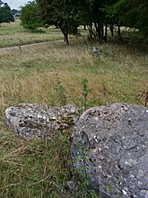 <b>Goose Stones</b>Posted by Jane