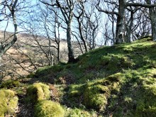 <b>Dun Beag (Castle Sween)</b>Posted by drewbhoy