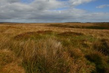 <b>Big Moor (south) cairns</b>Posted by thesweetcheat