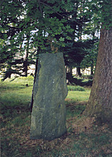 <b>Balnakeilly Stone</b>Posted by BigSweetie