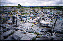 <b>The Burren</b>Posted by greywether