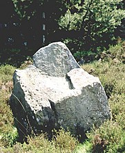 <b>Thimbleby Moor Nine Stones</b>Posted by fitzcoraldo