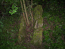 <b>The Giant's Stone</b>Posted by hamish