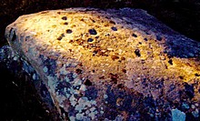 <b>Fyfield Down Cup Marked Stone</b>Posted by Hob