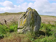 <b>The Cow Stone</b>Posted by Martin