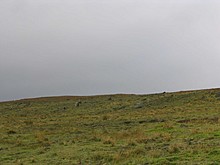 <b>Turley Holes Moor Standing Stones</b>Posted by daveyravey