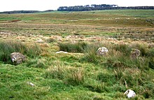 <b>Haughton Common</b>Posted by Hob