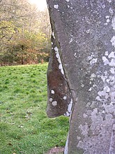 <b>The Fish Stone</b>Posted by elderford