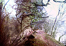 <b>Hunsbury Hill</b>Posted by heptangle