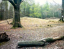 <b>Wentwood Barrows</b>Posted by Ike