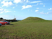 <b>Cubert Common Burrow</b>Posted by phil