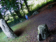 <b>The Nine Stones of Winterbourne Abbas</b>Posted by Zeb