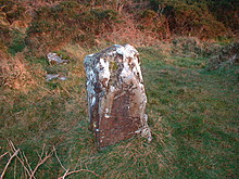 <b>Graves of the Leinstermen</b>Posted by bawn79