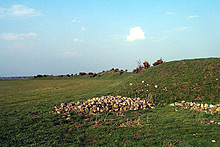 <b>Thornborough Henge Central</b>Posted by IronMan