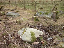 <b>Hill of Drimmie Stone Circle</b>Posted by BigSweetie