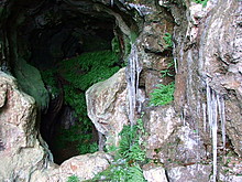 <b>Elderbush Cave</b>Posted by postman