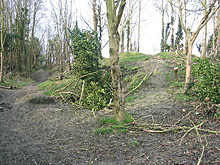 <b>Round Hill Mound</b>Posted by wysefool