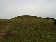 <b>Tulk's Hill</b>Posted by formicaant