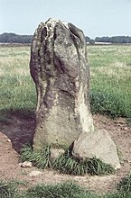 <b>Bull Stone</b>Posted by Chris Collyer