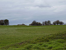 <b>Buzbury Rings</b>Posted by formicaant