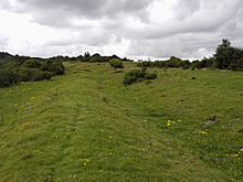<b>Grim's Ditch (Cranborne Chase)</b>Posted by formicaant