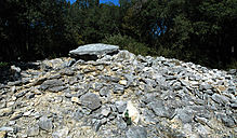 <b>Bois des Geants - dolmen 5</b>Posted by Jane