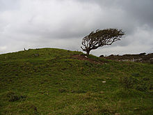 <b>Worth Matravers</b>Posted by formicaant