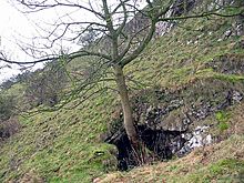 <b>Sycamore Cave</b>Posted by stubob