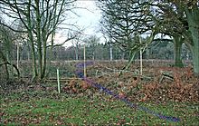 <b>Woodcutts Common</b>Posted by mrcrusty