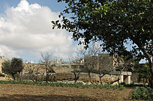 <b>Tarxien</b>Posted by sals