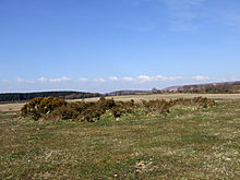 <b>Cator Common North Cairn</b>Posted by Mr Hamhead