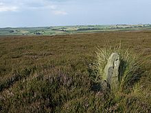 <b>Gibbet Moor Standing Stones</b>Posted by Chris Collyer