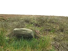 <b>Moscar Moor</b>Posted by Chris Collyer
