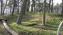 <b>Crippets Long Barrow</b>Posted by thesweetcheat