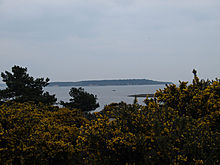 <b>Brownsea Island</b>Posted by formicaant