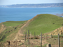 <b>Doghouse Hill</b>Posted by formicaant