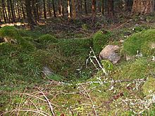 <b>Dalreoch Wood</b>Posted by strathspey