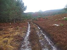 <b>Scotsburn House, Cairnfield and Hut Circle</b>Posted by strathspey