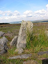 <b>Gibbet Moor Standing Stones</b>Posted by stubob