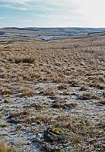 <b>Middleton Moor 446</b>Posted by fitzcoraldo