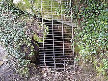 <b>St Euny's Well</b>Posted by texlahoma