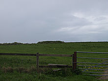 <b>Charlton Down Ditch</b>Posted by formicaant