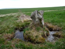<b>Stall Moor Stone Row</b>Posted by thesweetcheat