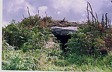 <b>Treen Entrance Graves</b>Posted by GLADMAN