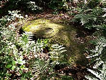 <b>Fairy Stone (Cottingley)</b>Posted by Chris Collyer